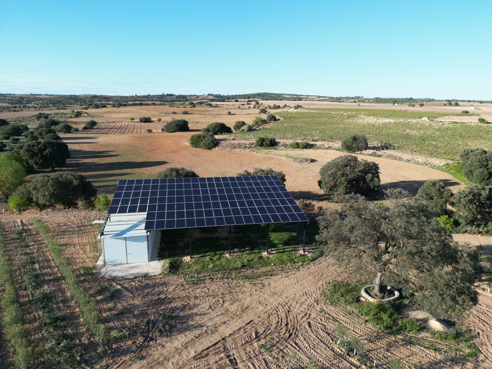 Instalación de bombeo solar para abastecer una plantación de 8 ha de olivos.